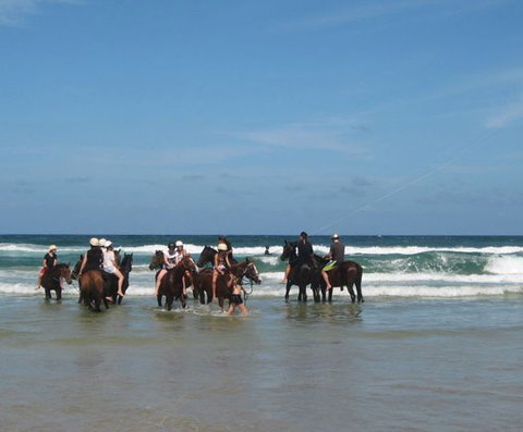 Pegasus Park Equestrian Centre - Tourism Noosa 2