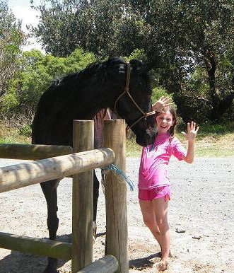 Pegasus Park Equestrian Centre - Tourism Noosa 3