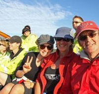 Byron Bay Whale Watching - Tourism Noosa
