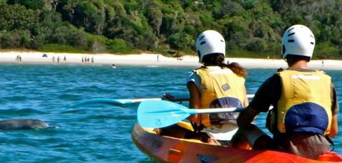 Go Sea Kayak - Tourism Noosa 2