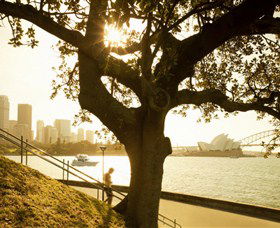 Royal Botanic Gardens And The Domain - Tourism Noosa 0
