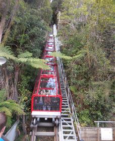 Country Charmâ„¢ Discovery Tours - Tourism Noosa 6