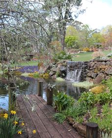 TCP Day Tours - Tourism Noosa 4