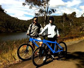 TCP Day Tours - Tourism Noosa 5