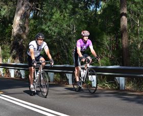 Global Cycle Rides - Tourism Noosa 2