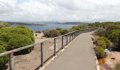 Fairfax Walk - Tourism Noosa 0