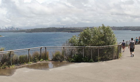 Fairfax Walk - Tourism Noosa 1
