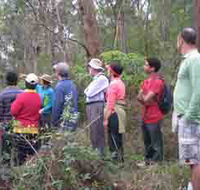 Boronia Tours - Tourism Noosa
