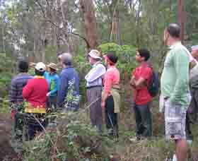 Boronia Tours - Tourism Noosa 0