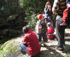 Boronia Tours - Tourism Noosa 2