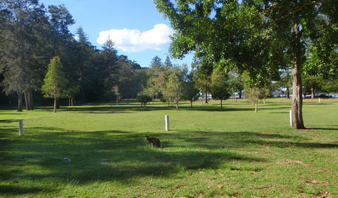 The Basin Picnic Area - Tourism Noosa 1