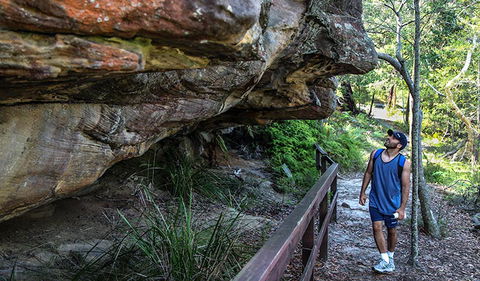 Aboriginal Heritage Walk - Tourism Noosa 0