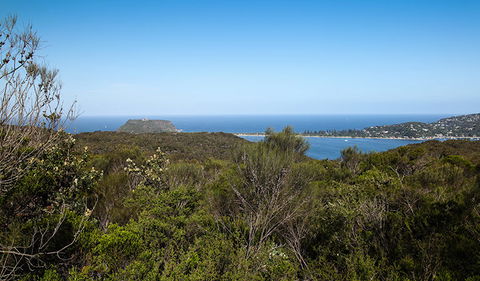 Aboriginal Heritage Walk - Tourism Noosa 1