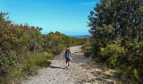 Aboriginal Heritage Walk - Tourism Noosa 3