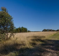 Scheyville horse riding trails - Tourism Noosa