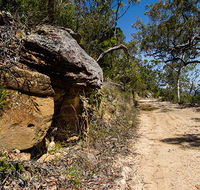 Canoelands Ridge walking track - Tourism Noosa
