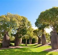 Mt Penang Gardens - Tourism Noosa
