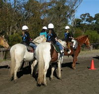Darkes Forest Riding Ranch - Tourism Noosa