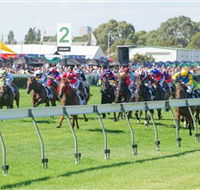 Morphettville Racecourse - Tourism Noosa