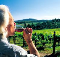 Ashton Hills Vineyard - Tourism Noosa