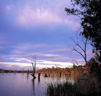 Loch Luna Game Reserve and Moorook Game Reserve - Tourism Noosa