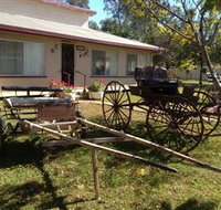 Mr and Mrs Behan Sulky Display - Tourism Noosa