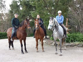 Academy Of Dressage - Tourism Noosa 0