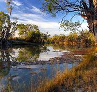 Murray River National Park - Tourism Noosa