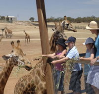 Monarto Open Range Zoo - Tourism Noosa