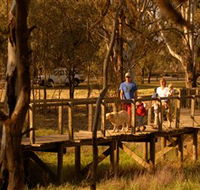 Loxton's Drives Walks and Trails - Tourism Noosa