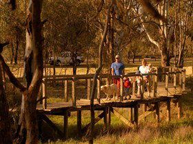 Loxton's Drives, Walks And Trails - Tourism Noosa 0