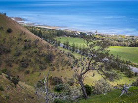 Lady Bay Beach - Tourism Noosa 1