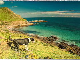 Second Valley Beach - Tourism Noosa 1