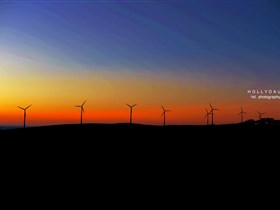 Starfish Hill Windfarm - Tourism Noosa 0