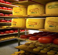 Alexandrina Cheese Company - Tourism Noosa