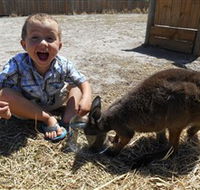 Animal Farm Goolwa - Tourism Noosa