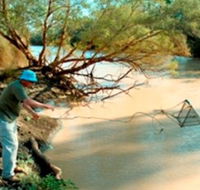 Charleville - Ward River Fishing Spot - Tourism Noosa