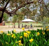 Charleville - Graham Andrews Parklands - Tourism Noosa