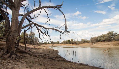 Toorale National Park - Tourism Noosa 0