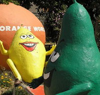 Orange World - Tourism Noosa