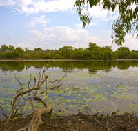 Yurmikmik Walks - Tourism Noosa