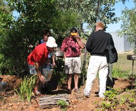 Mount Surprise Gems - Tourism Noosa 2