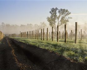 Andrew Peace Wines - Tourism Noosa 5