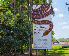 Territory Wildlife Park - Tourism Noosa 4