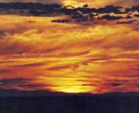 Hay Sunset Viewing Area - Tourism Noosa 0