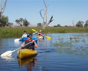 Goodooga NSW Tourism Noosa