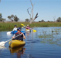 Marsh Meanders - Tourism Noosa