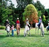 Limestone Coast Horseriding - Tourism Noosa