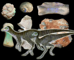 Australian Opal Centre - Tourism Noosa 2