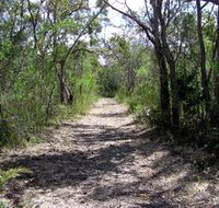 Lanky's Walk - Tourism Noosa